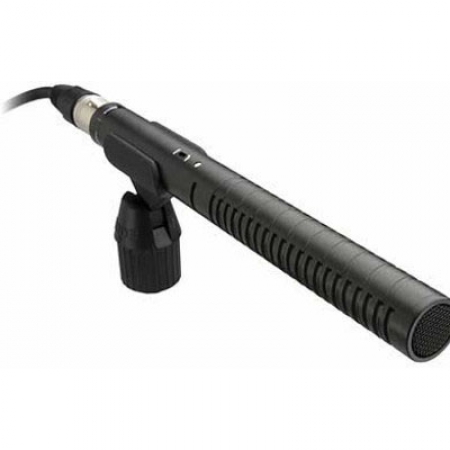 Rode Mikrofon NTG2 (82398)